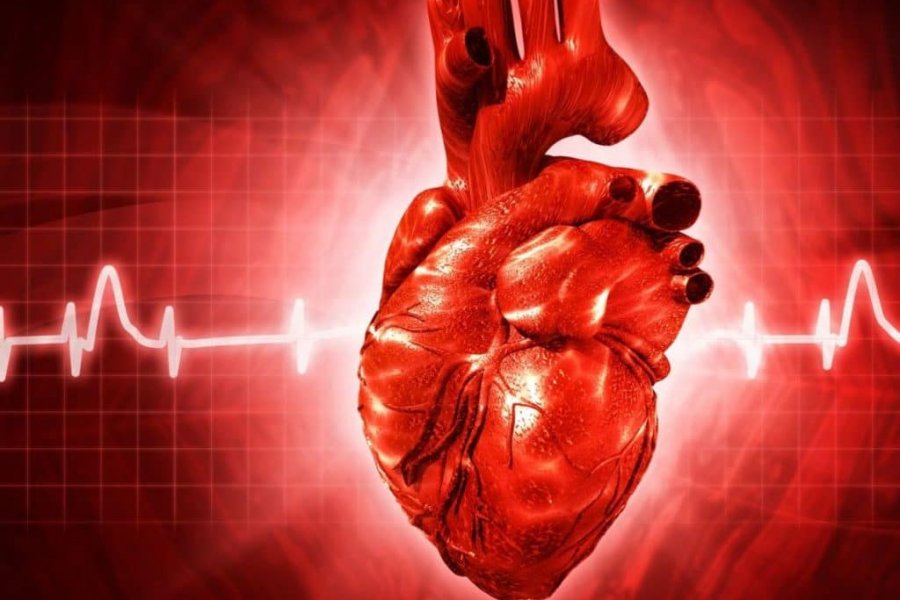 Врач-терапевт Чернышова рассказала о неочевидных признаках инфаркта