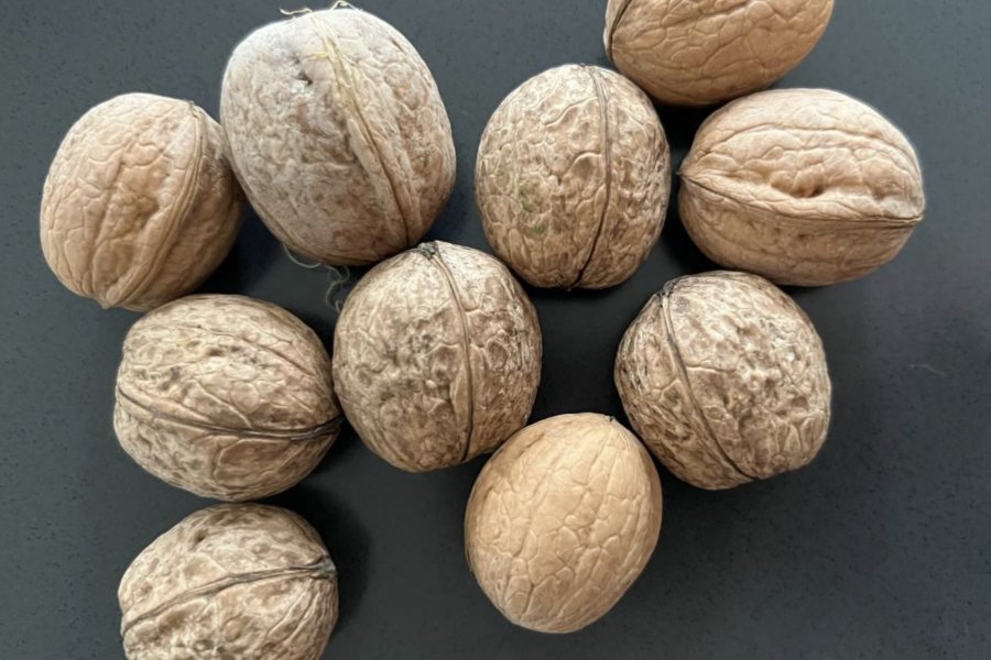 Эксперт объяснил, необходимо ли замачивать орехи перед употреблением, чтобы уберечь фитиновую кислоту