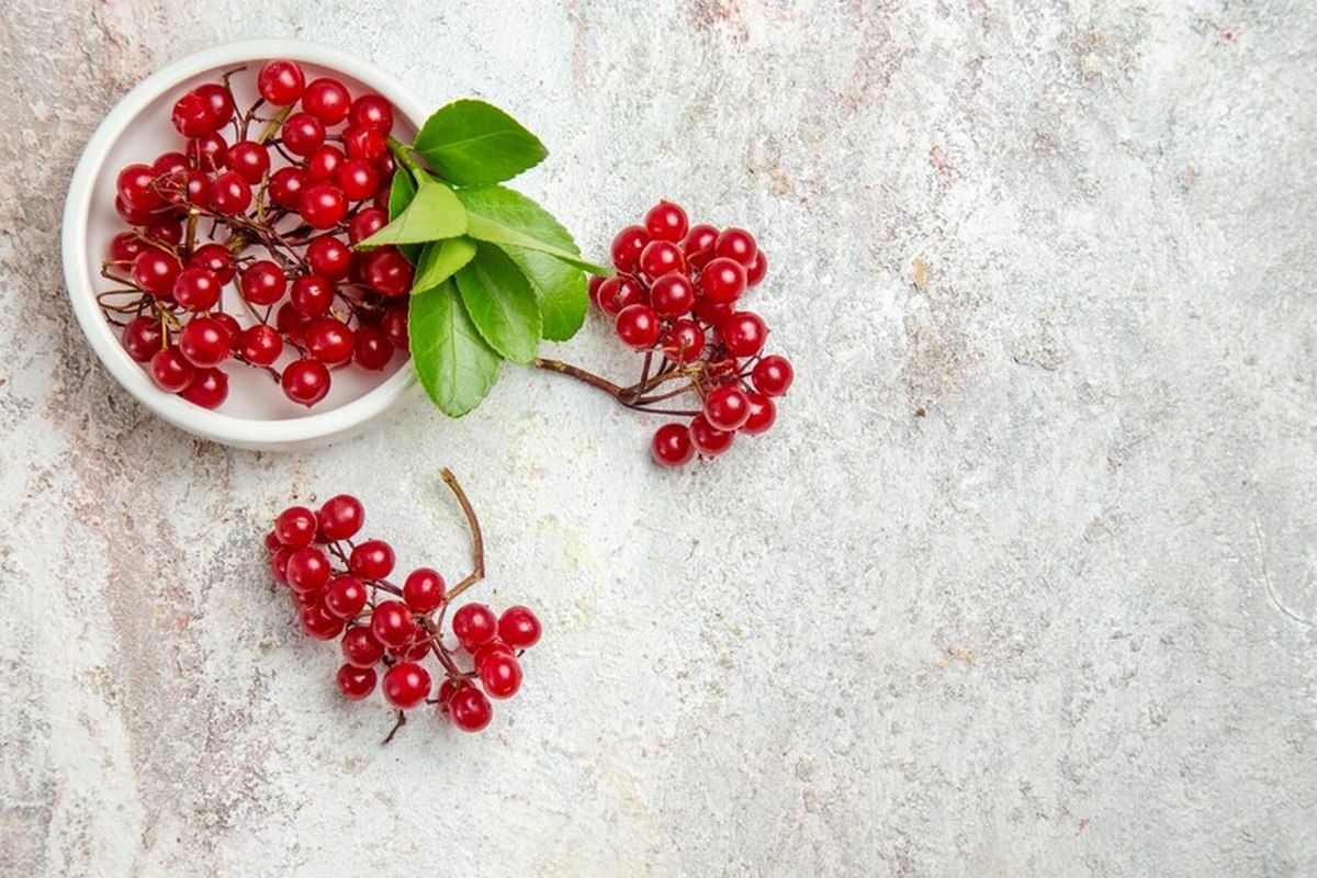 Эндокринолог РФ Павлова нашла ягоду, которая поможет снизить риск смерти на 31%